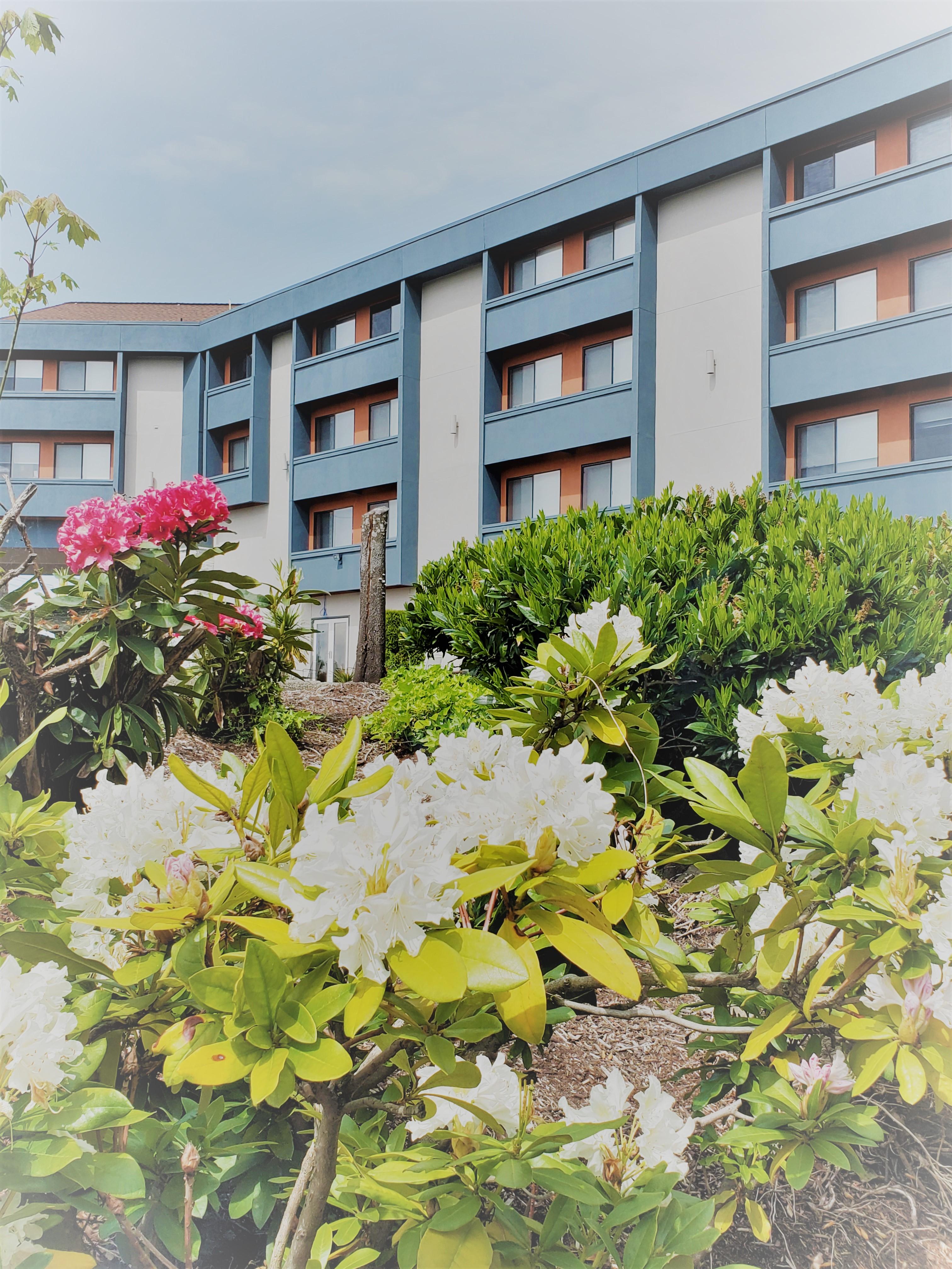 Best Western Plus Renton Inn Exterior foto